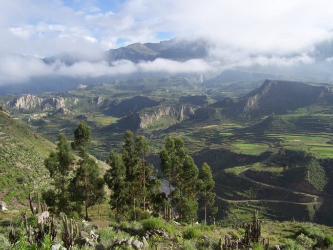 Colca-Arequipa